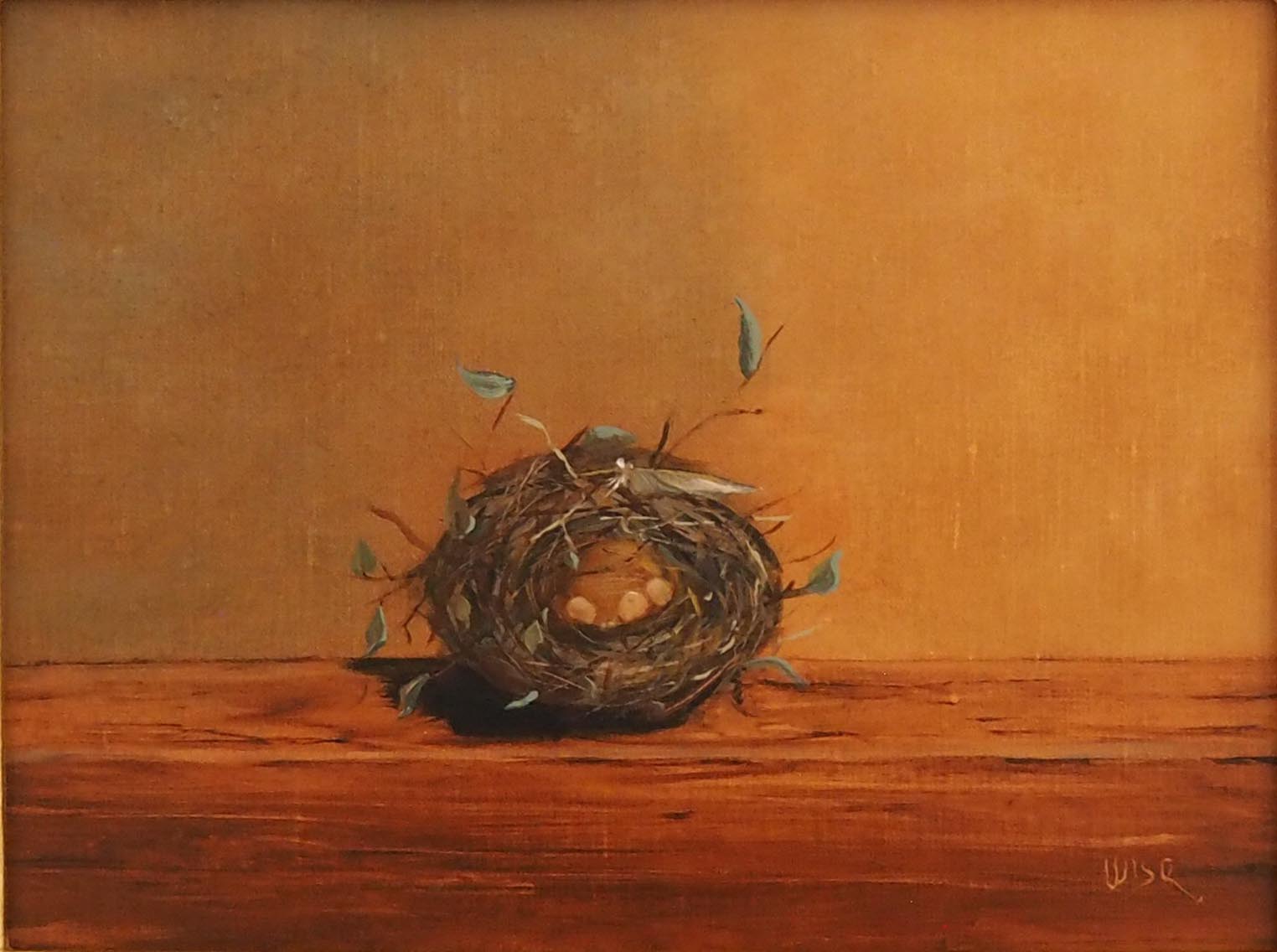 Marie Figge Wise - Feather the Nest