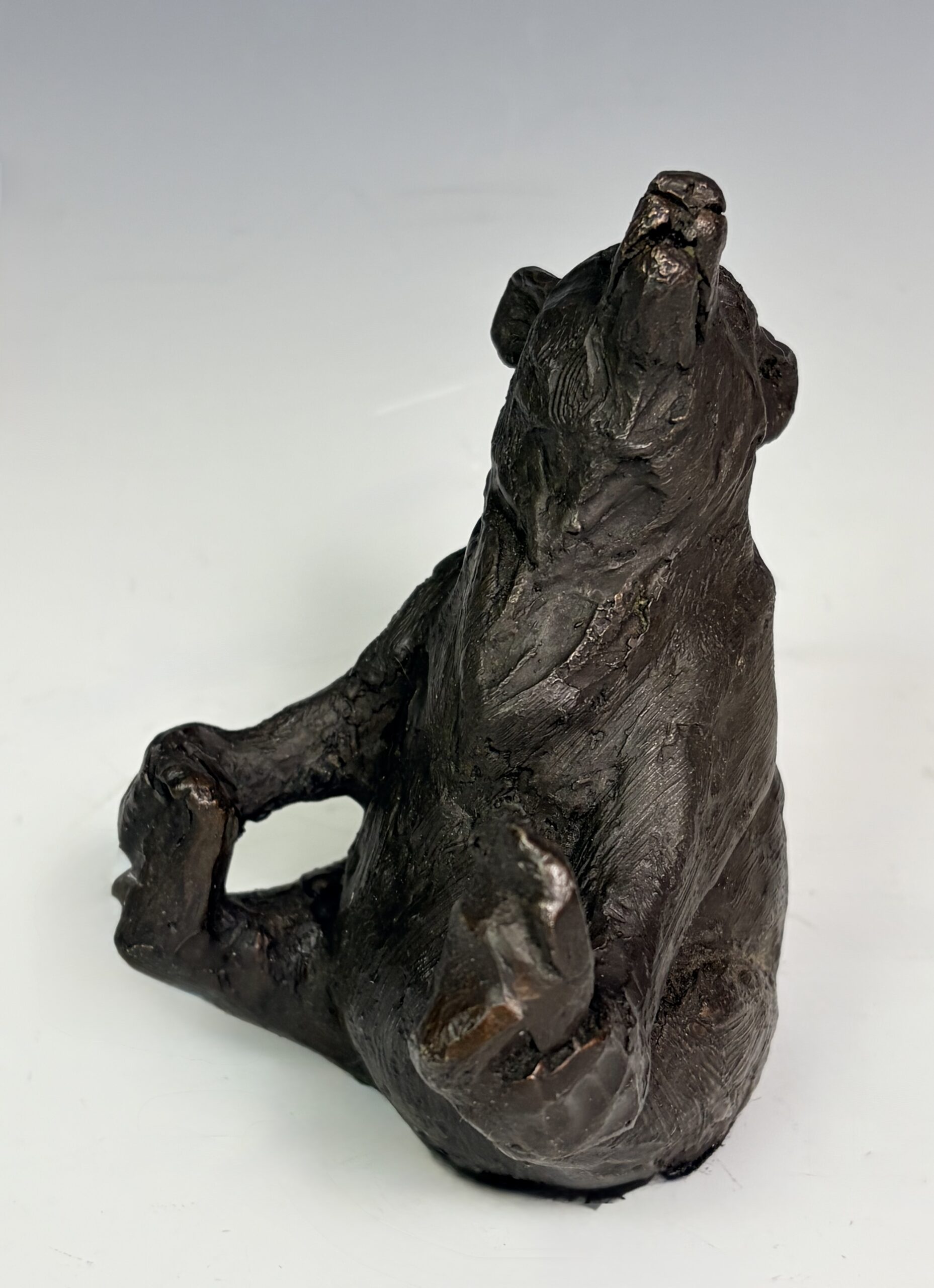 Lisa Gordon - Sitting Bear