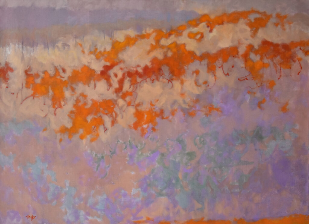 Andy Taylor, Stems art