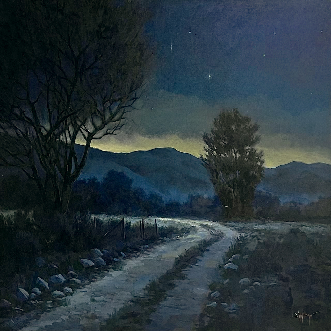 Simon Winegar - Strolling the Night