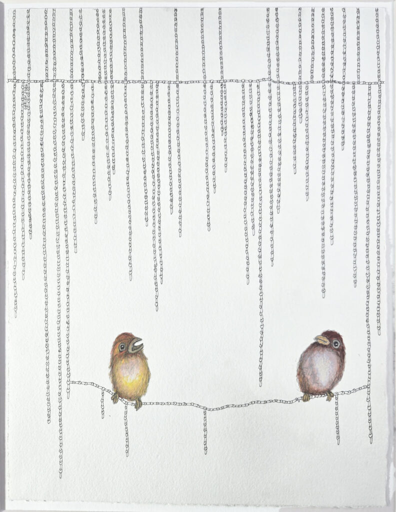 Craig O\\\'Brien, Amazing*** art