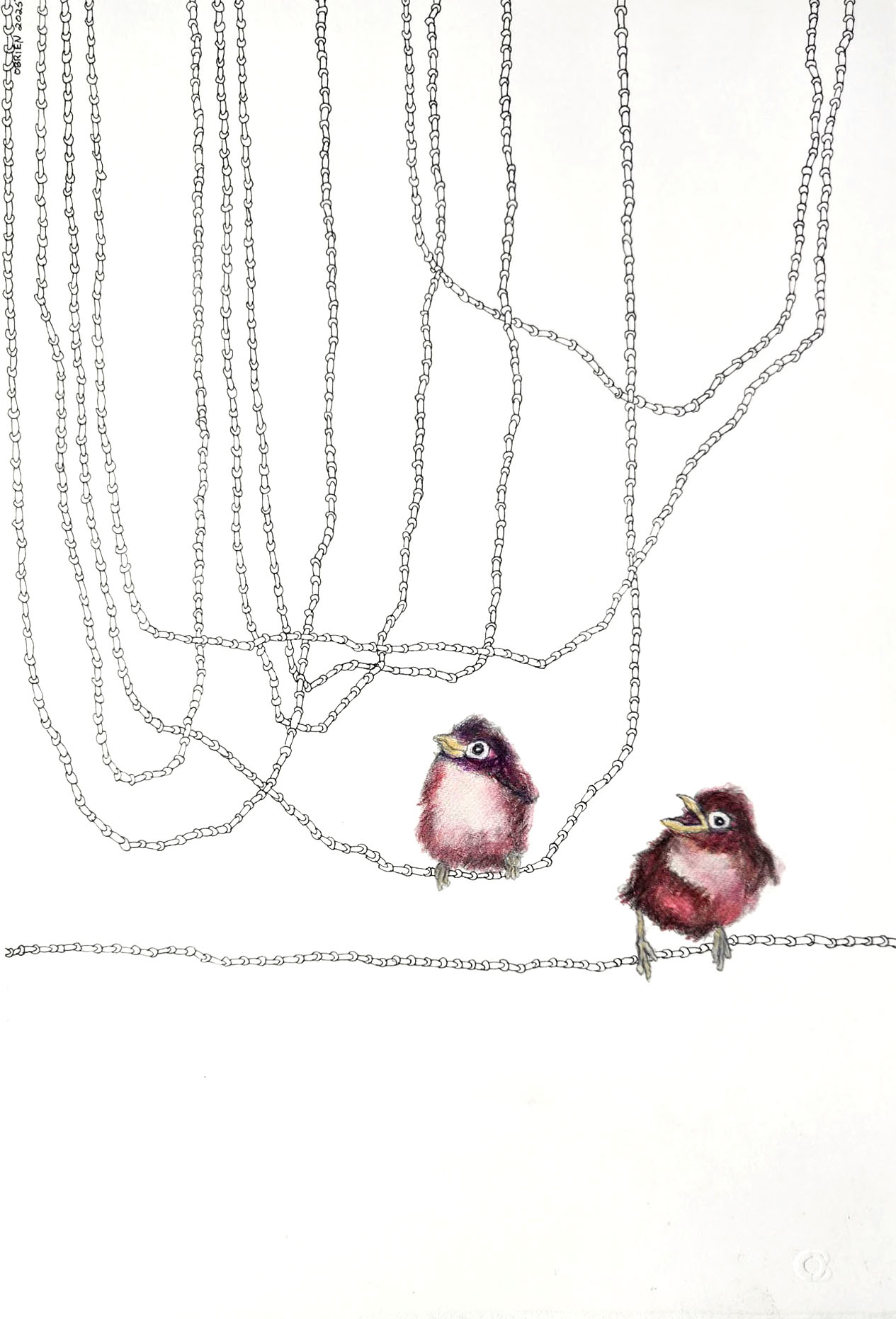 Craig O\'Brien - Delight***