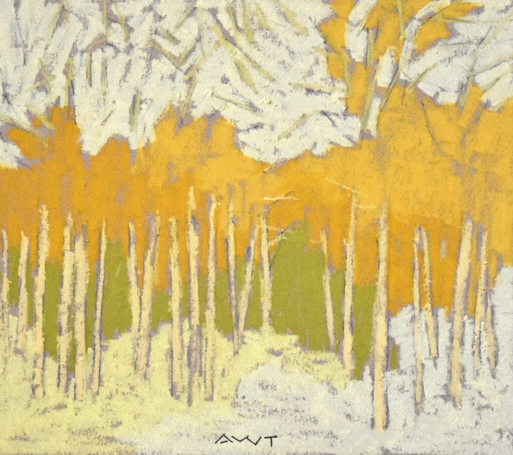 Andy Taylor, DR 23180 art