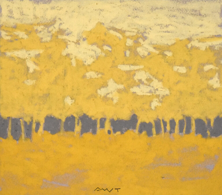 Andy Taylor - DR 23181