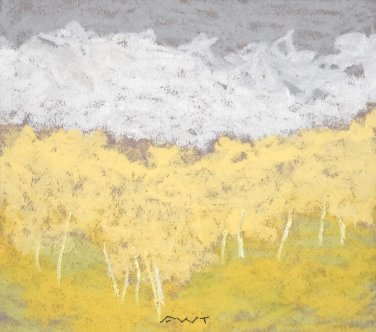 Andy Taylor - DR 23182