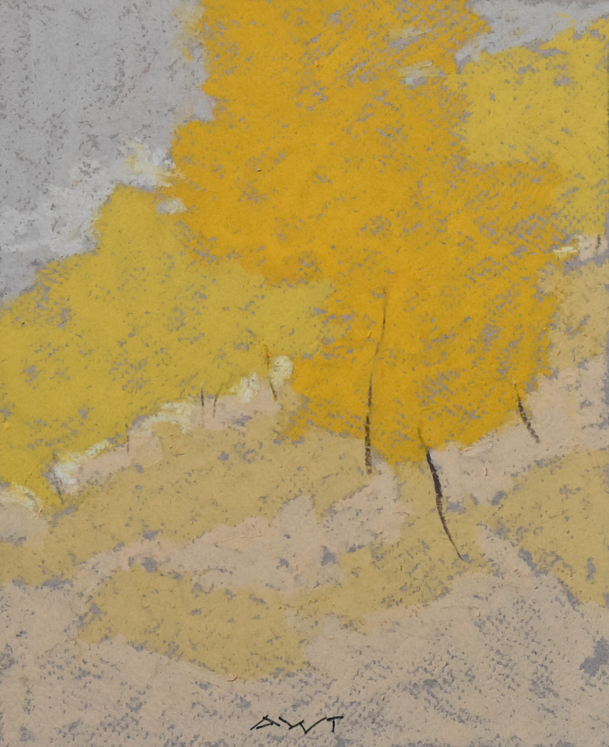 Andy Taylor - DR 25131