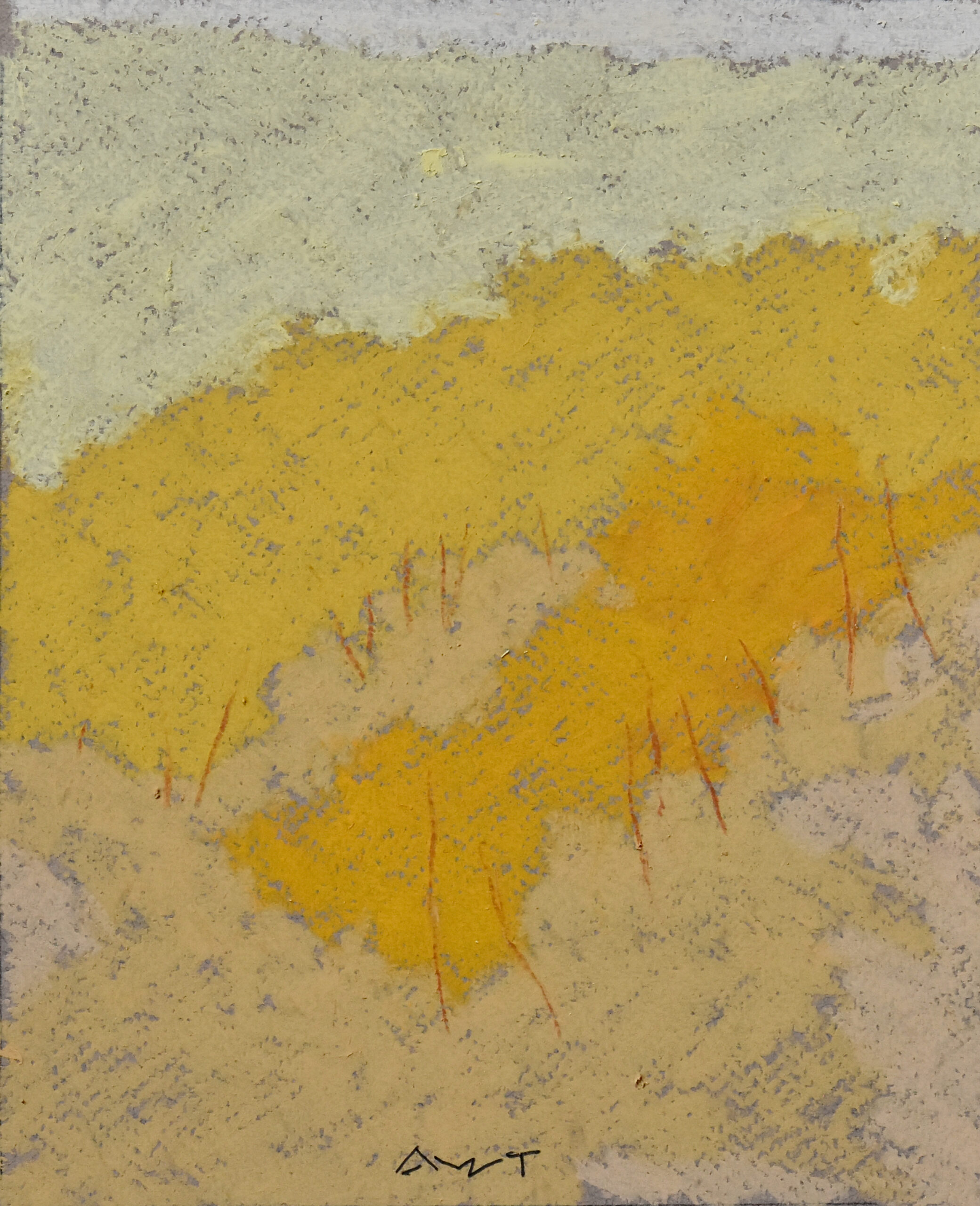 Andy Taylor - DR 25133