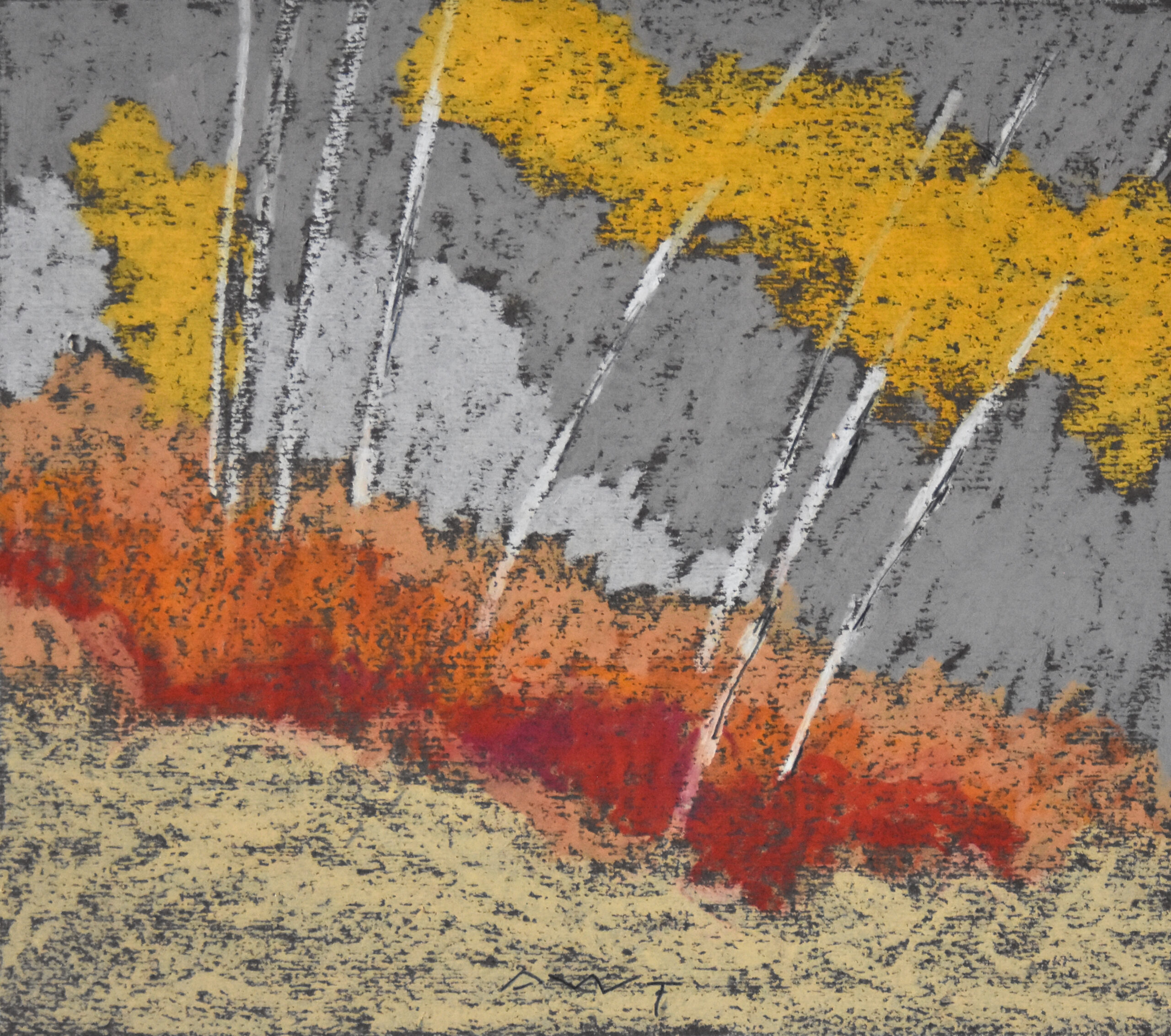 Andy Taylor - DR 25142