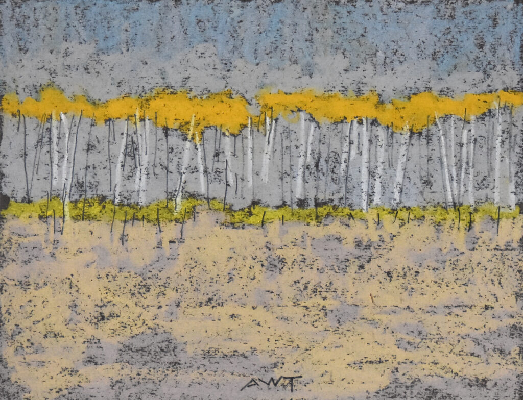 Andy Taylor, DR 26003 art