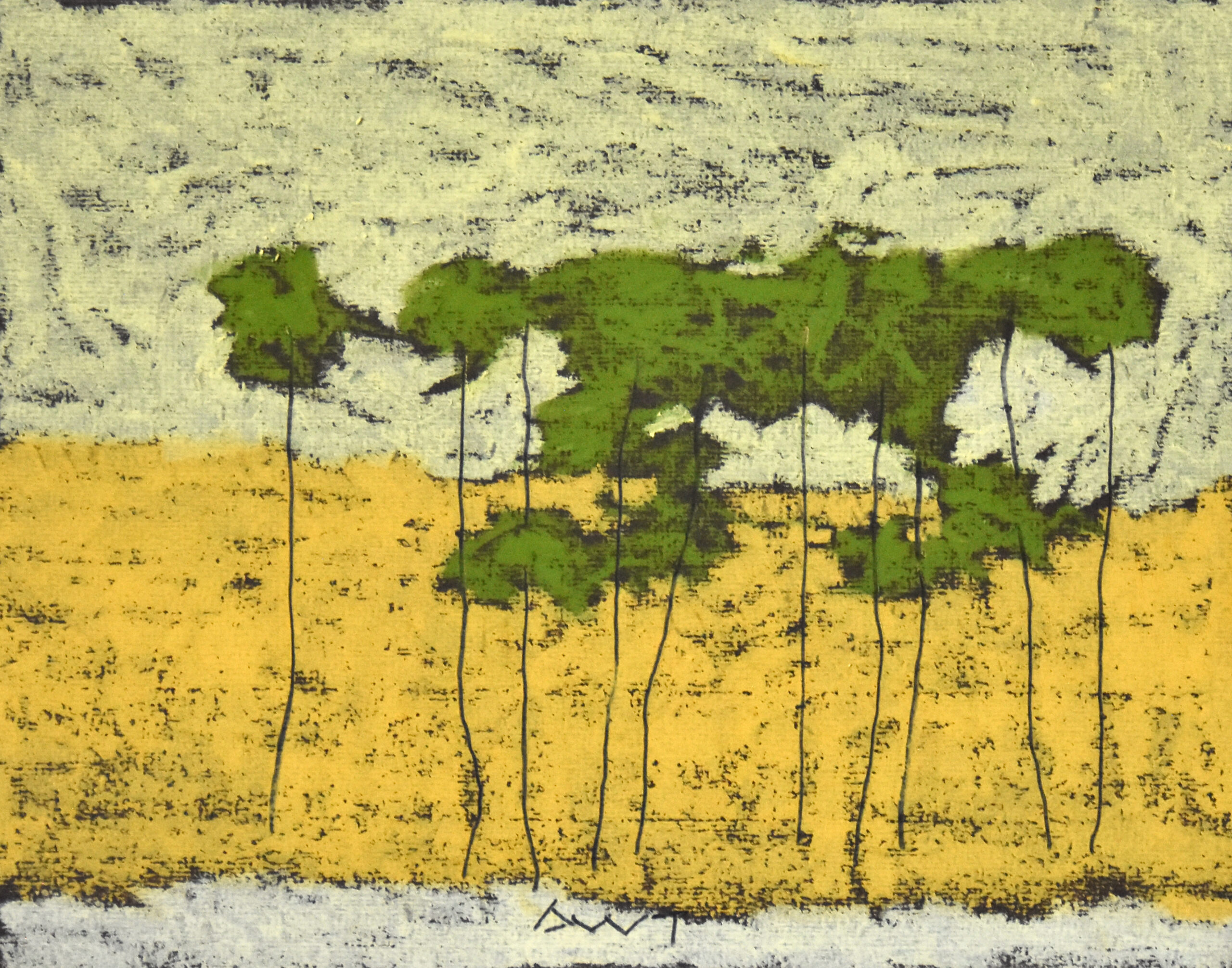 Andy Taylor - DR 26007