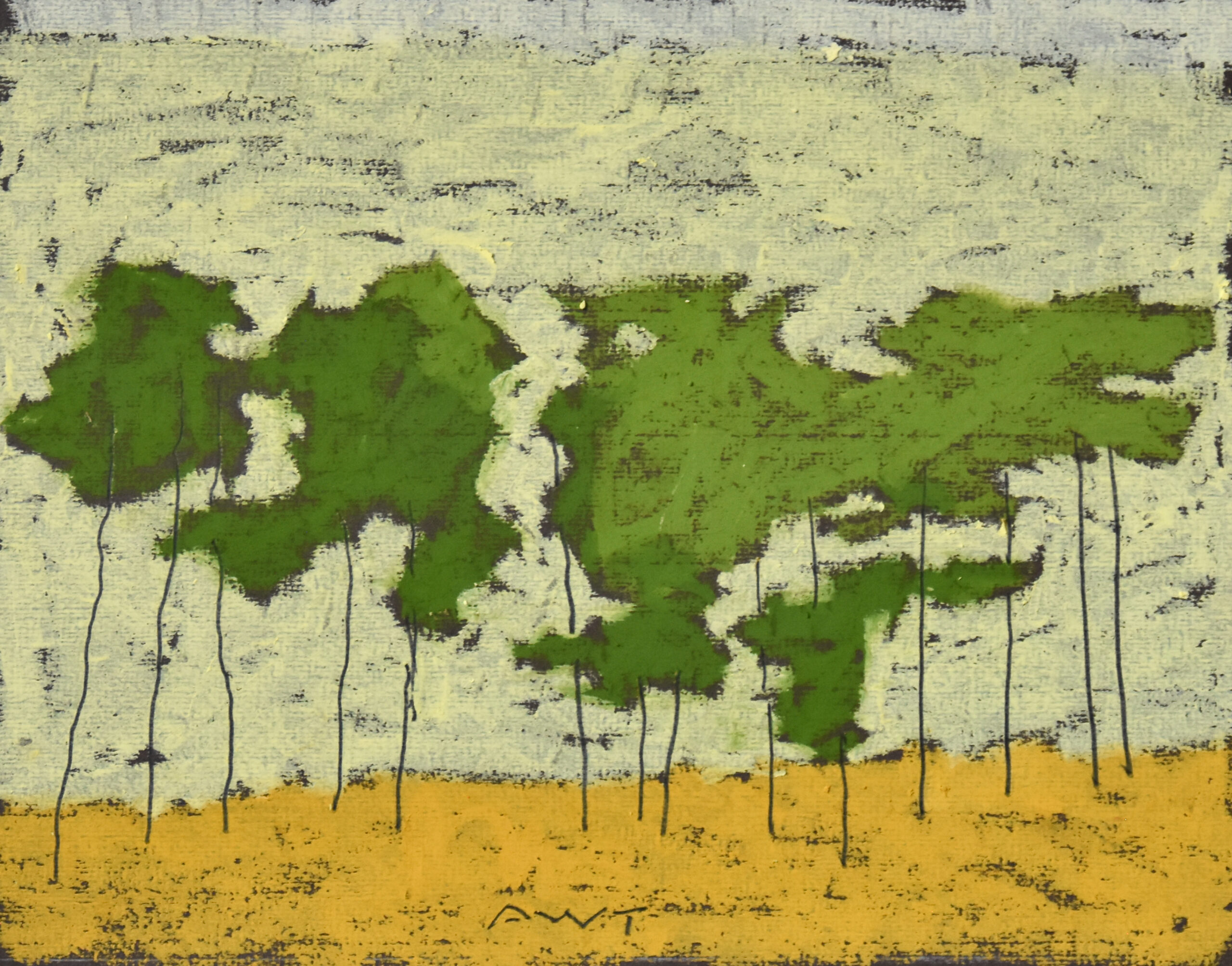 Andy Taylor - DR 26008