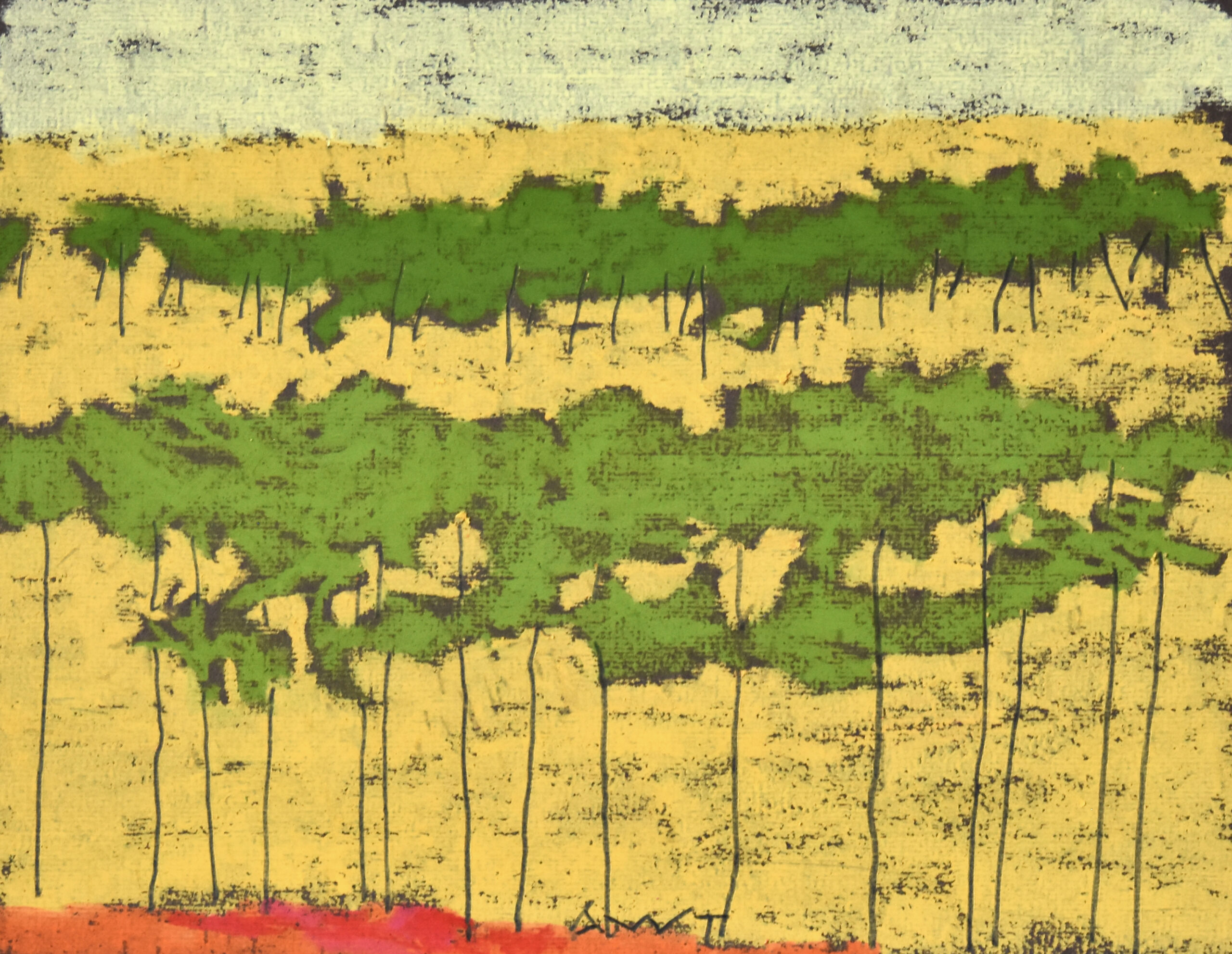 Andy Taylor - DR 26009