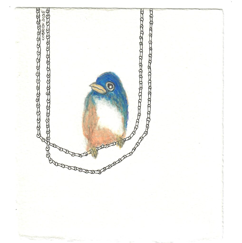 Craig O\\\'Brien, Hanging Blue, UNF art