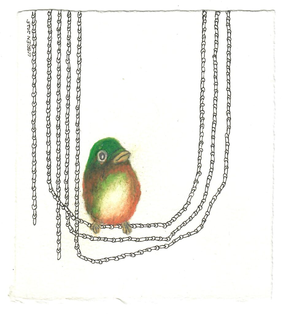 Craig O\\\'Brien, Hanging Green, UNF art