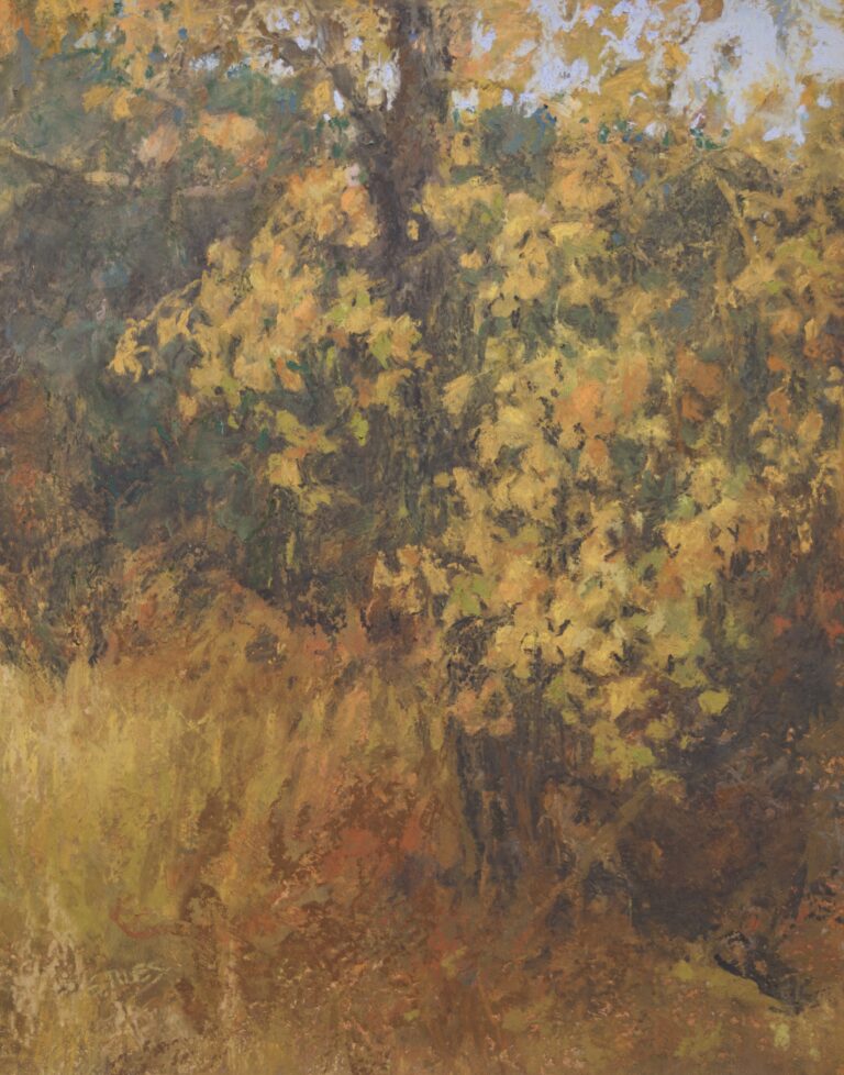 Sabrina Stiles - Kaleidoscope