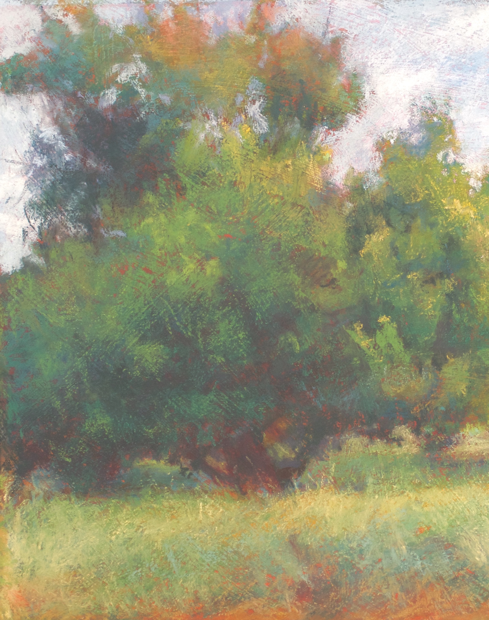 Sabrina Stiles - Orchard Glow