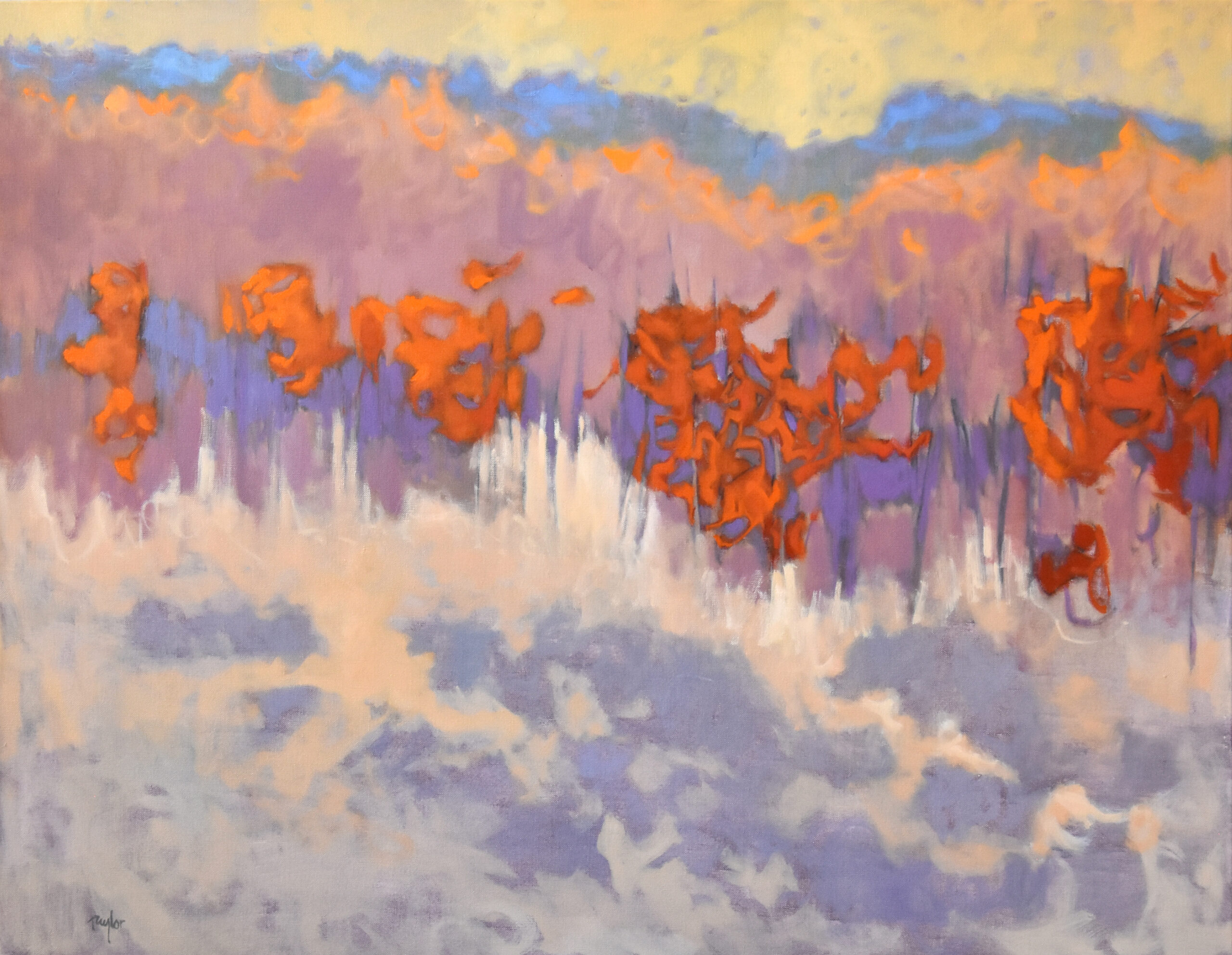 Andy Taylor - Small Oak