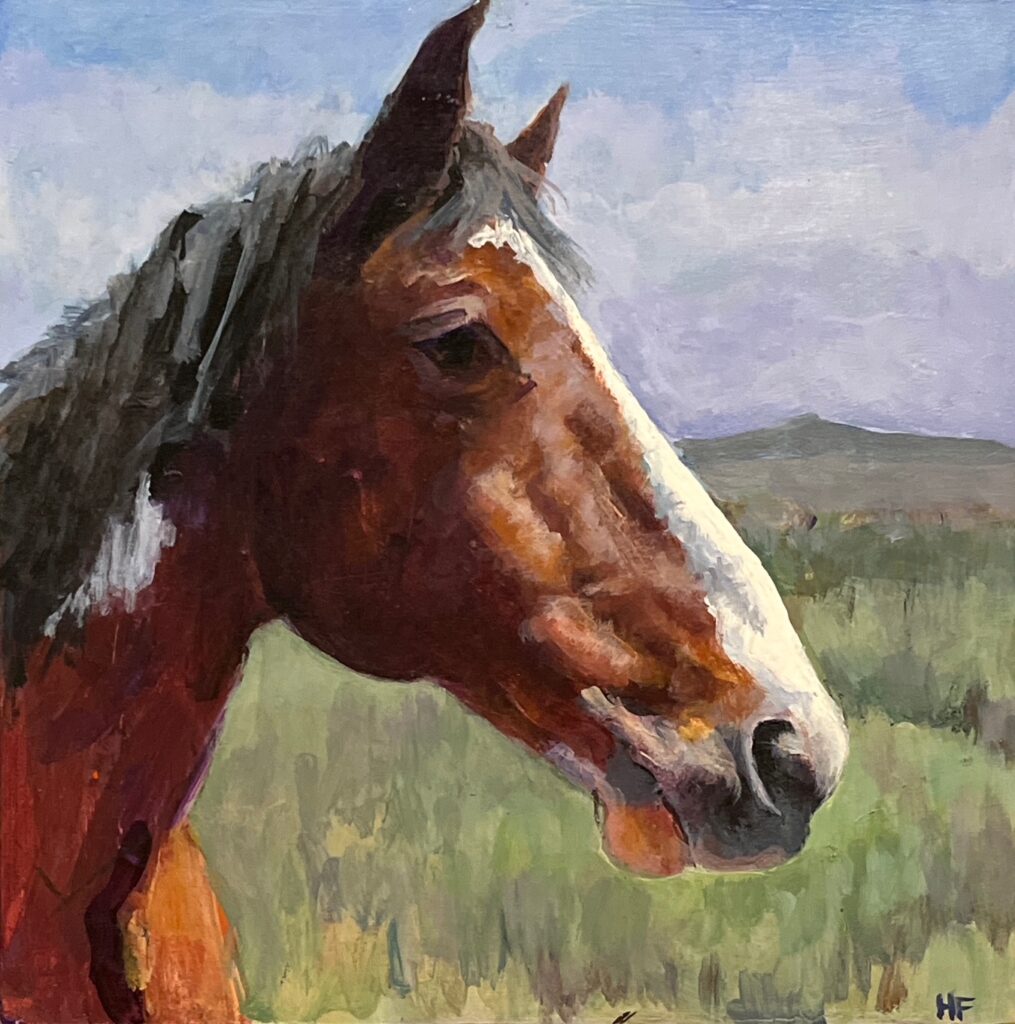 Heather Foster, Abiquiu Profile art