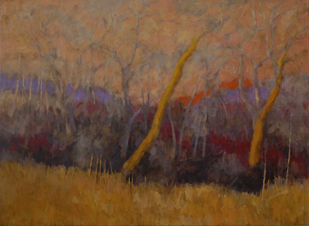 Andy Taylor, Cognac art