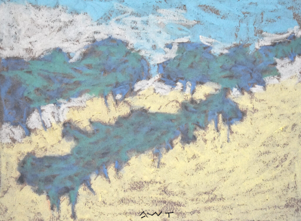Andy Taylor, DR 23163 art