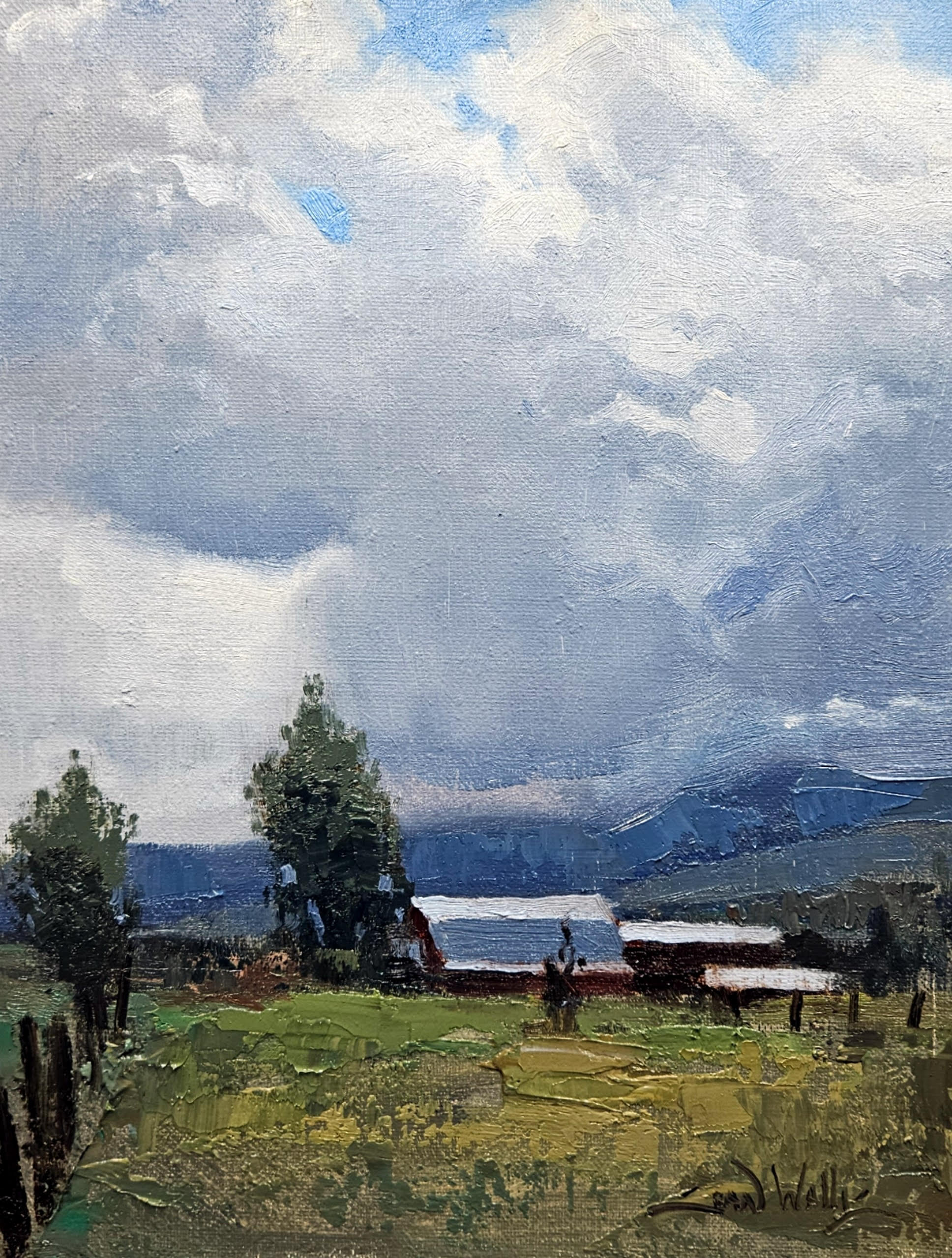 Sean Wallis - Long Awaited Rains