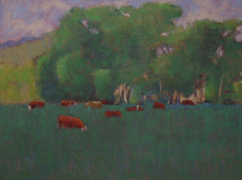 Andy Taylor, One Brown Cow art