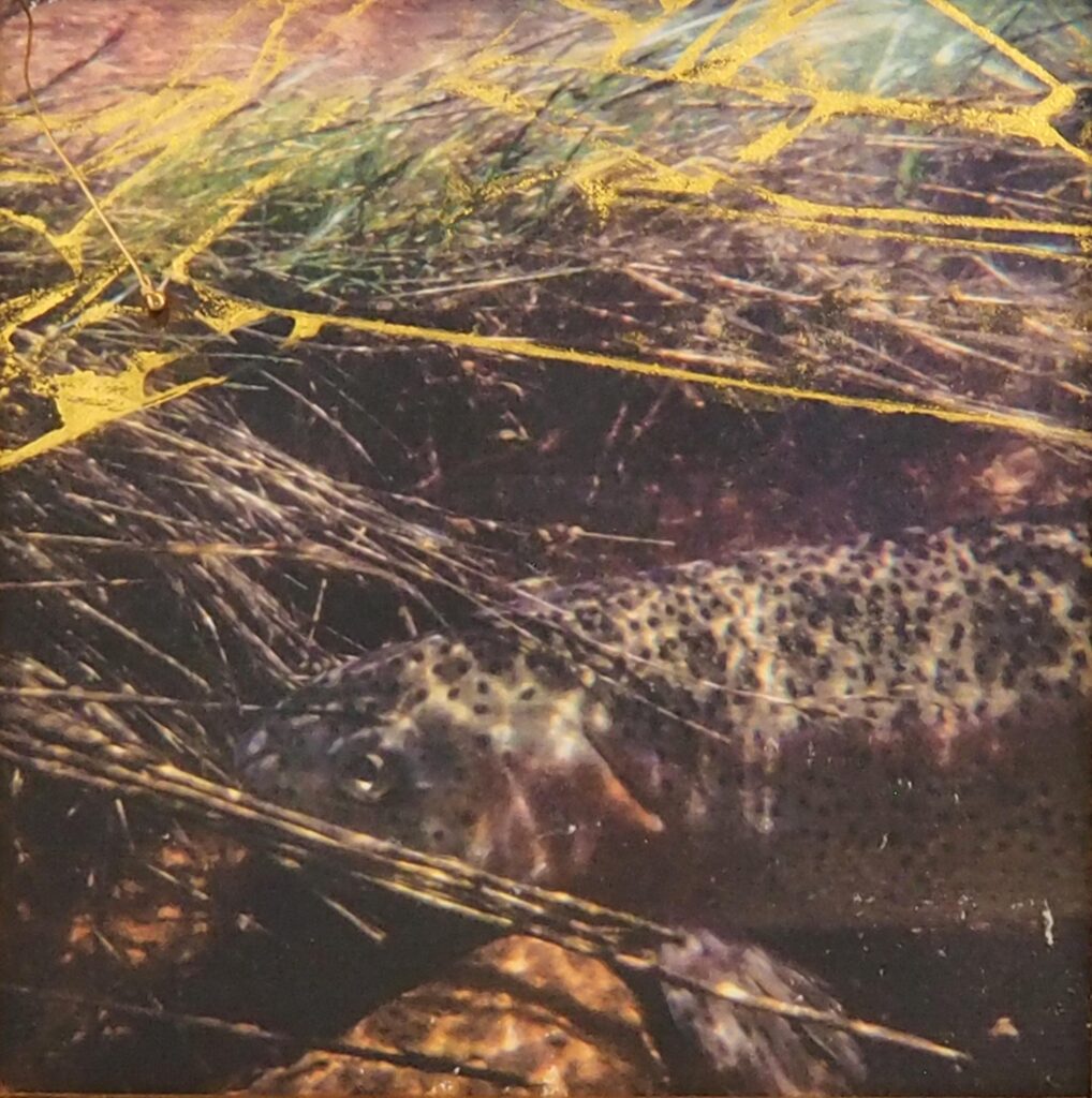 Marie Figge Wise, Over the Rainbow art