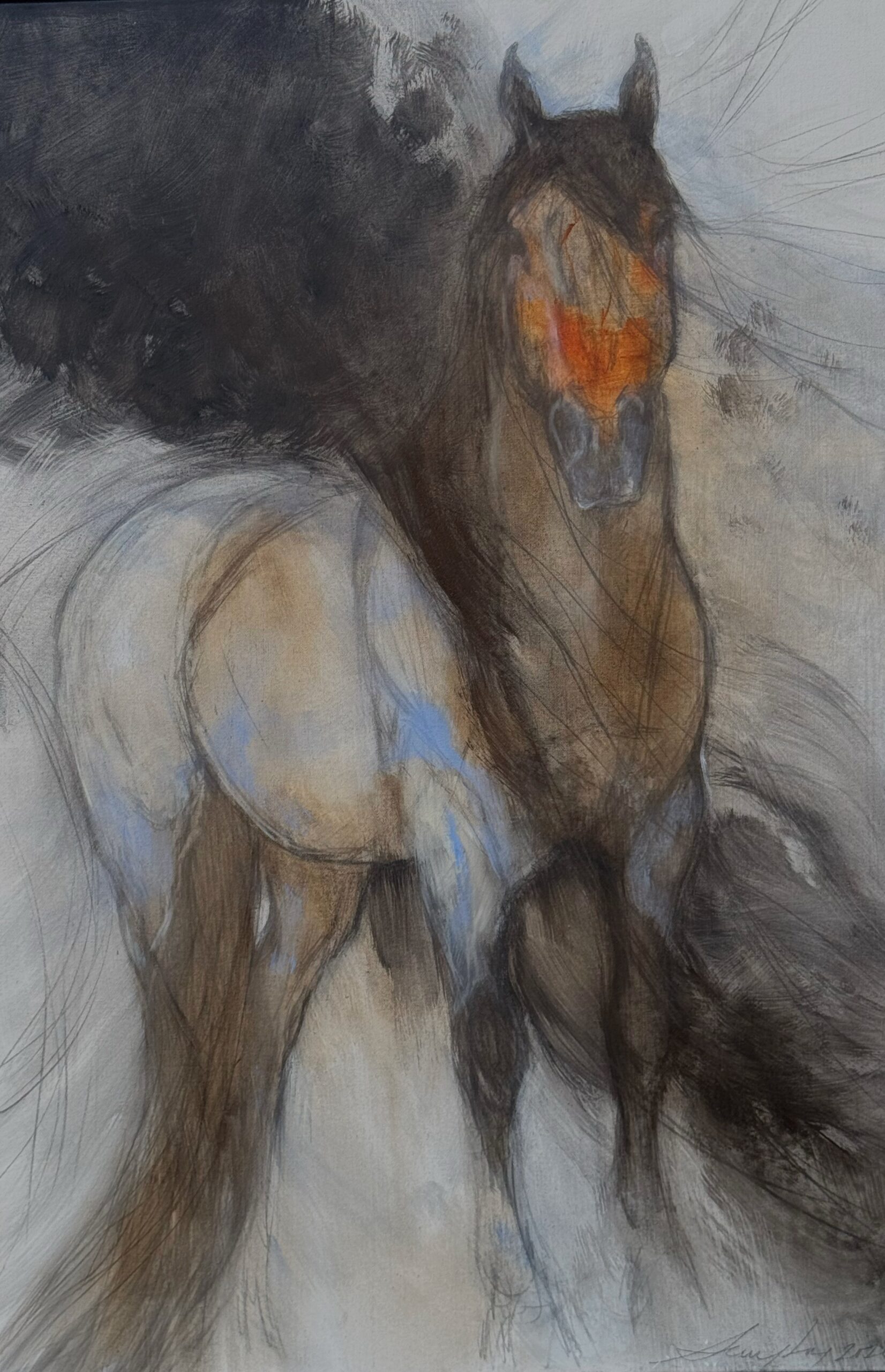 Amy Lay - Blue Roan