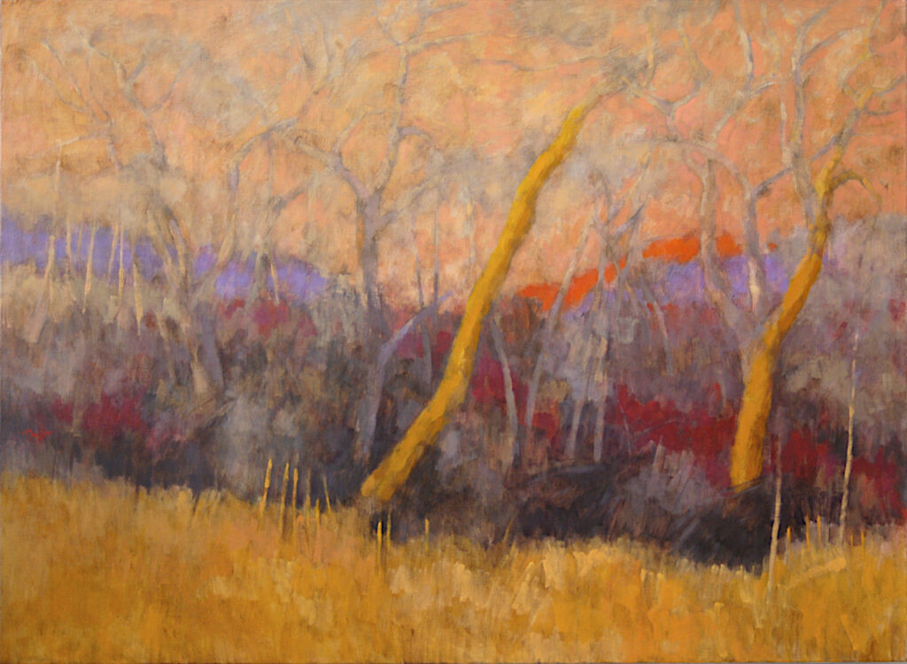 Andy Taylor, Cognac art
