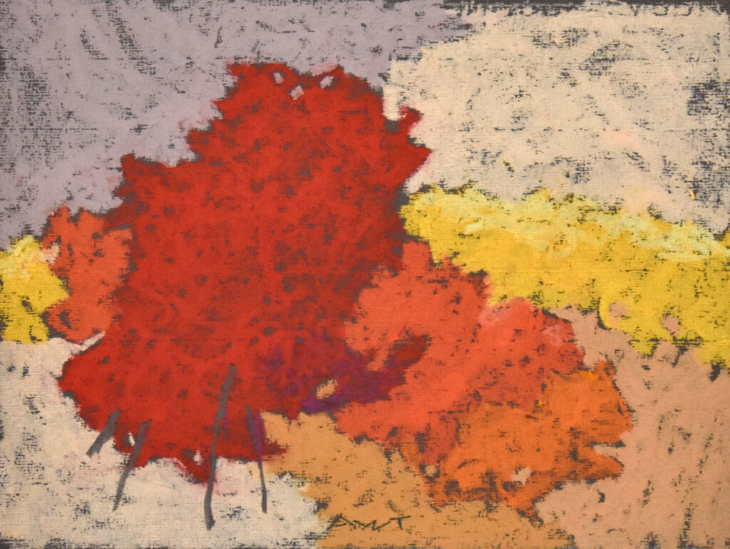 Andy Taylor, DR 25136 art