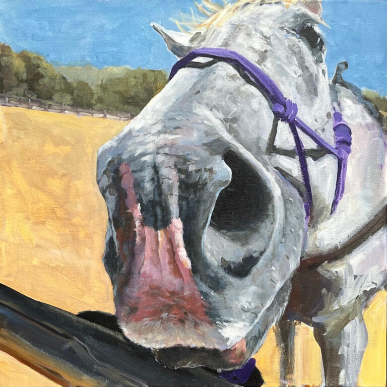 Heather Foster - Gentle Trail Horse
