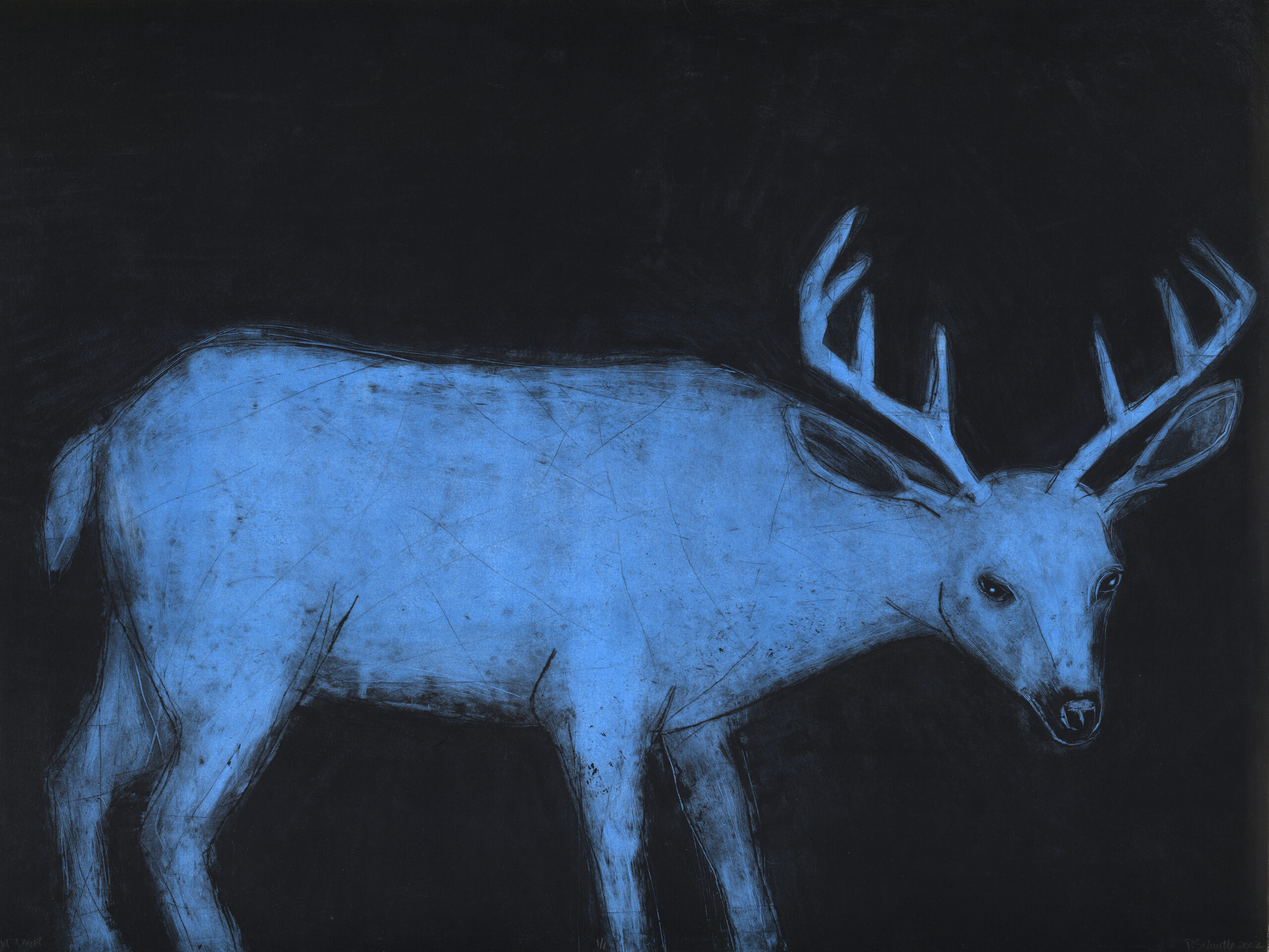 Paula Schuette Kraemer - Night Deer 1/1***