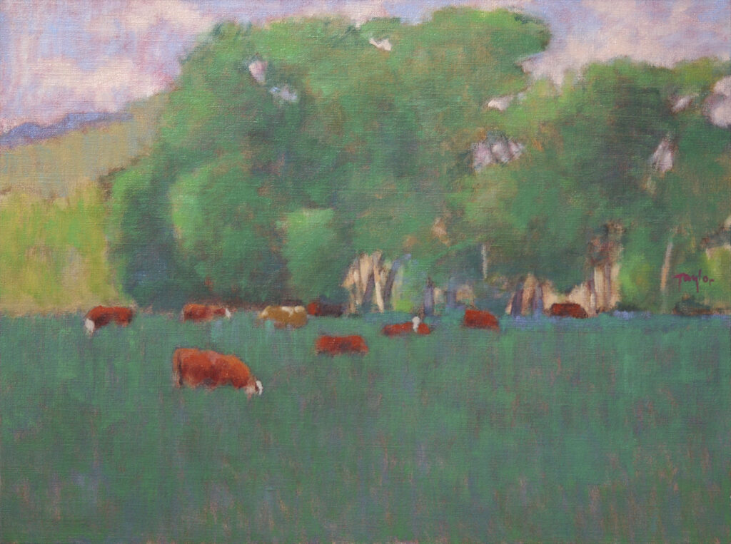 Andy Taylor, One Brown Cow art