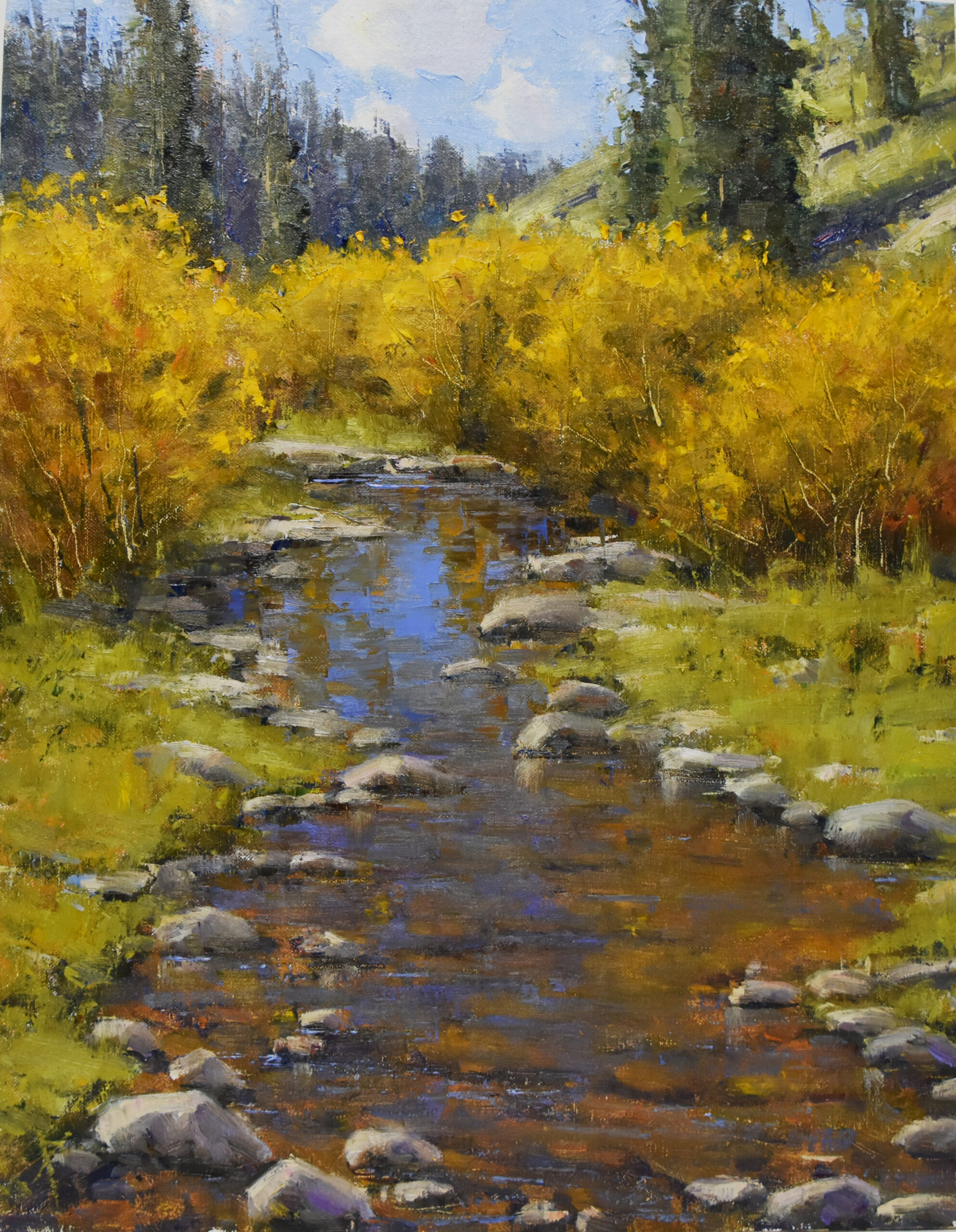 Dan Young - Where Brook Trout Lurk