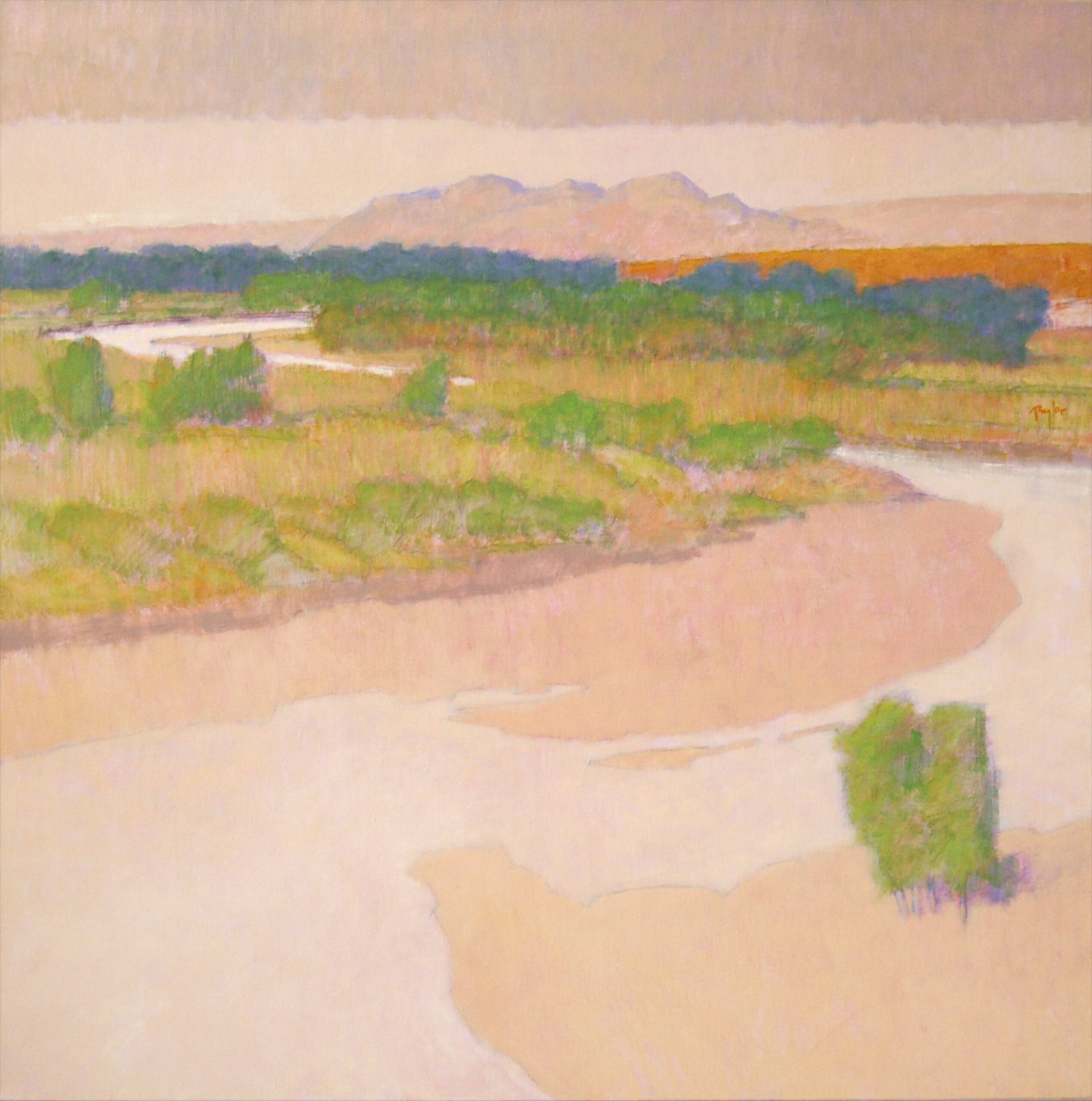 Andy Taylor - Yampa