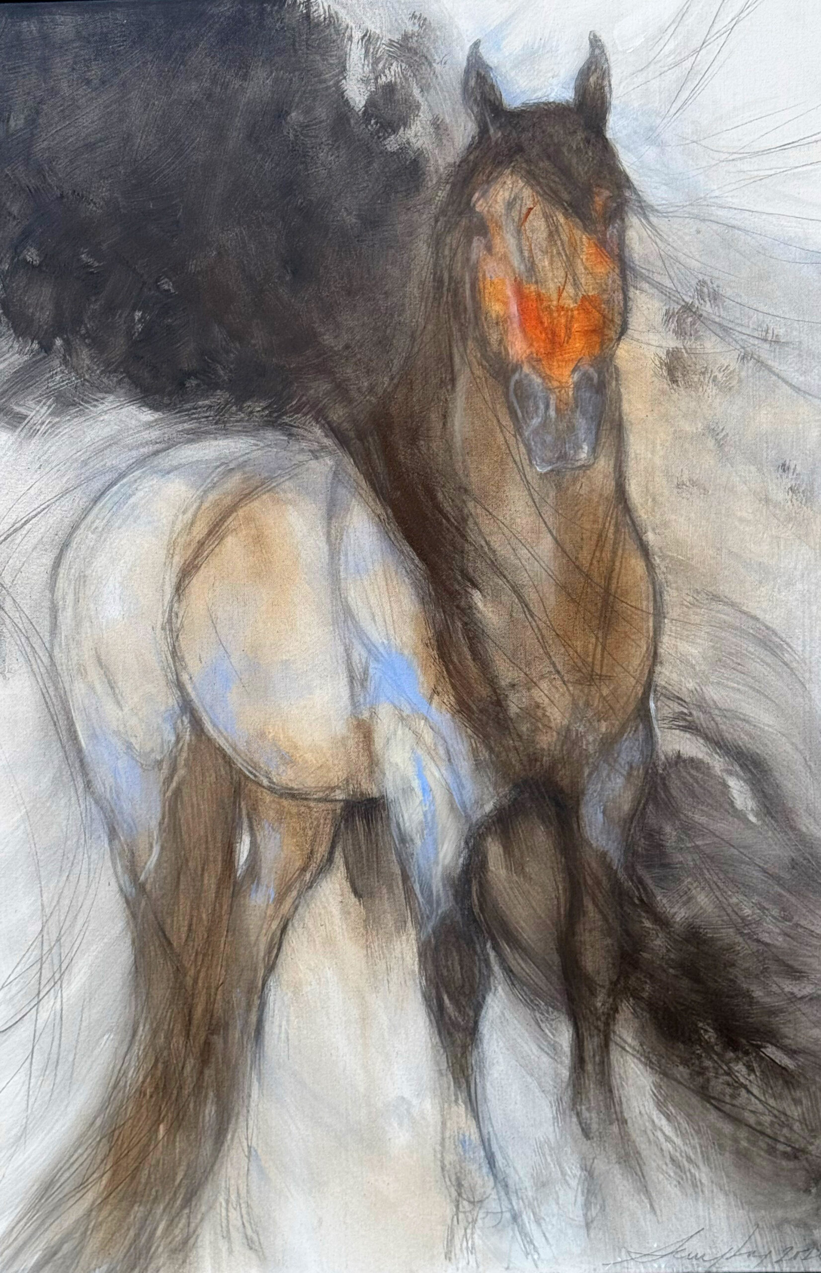 Amy Lay - Blue Roan