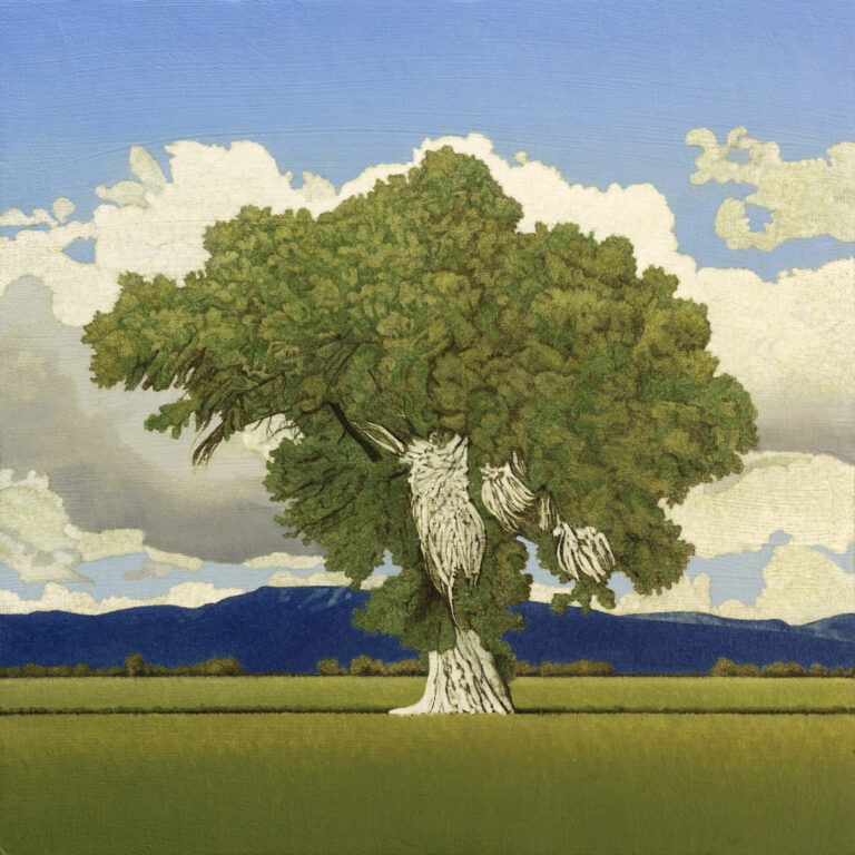 Clay Wagstaff - Cottonwood