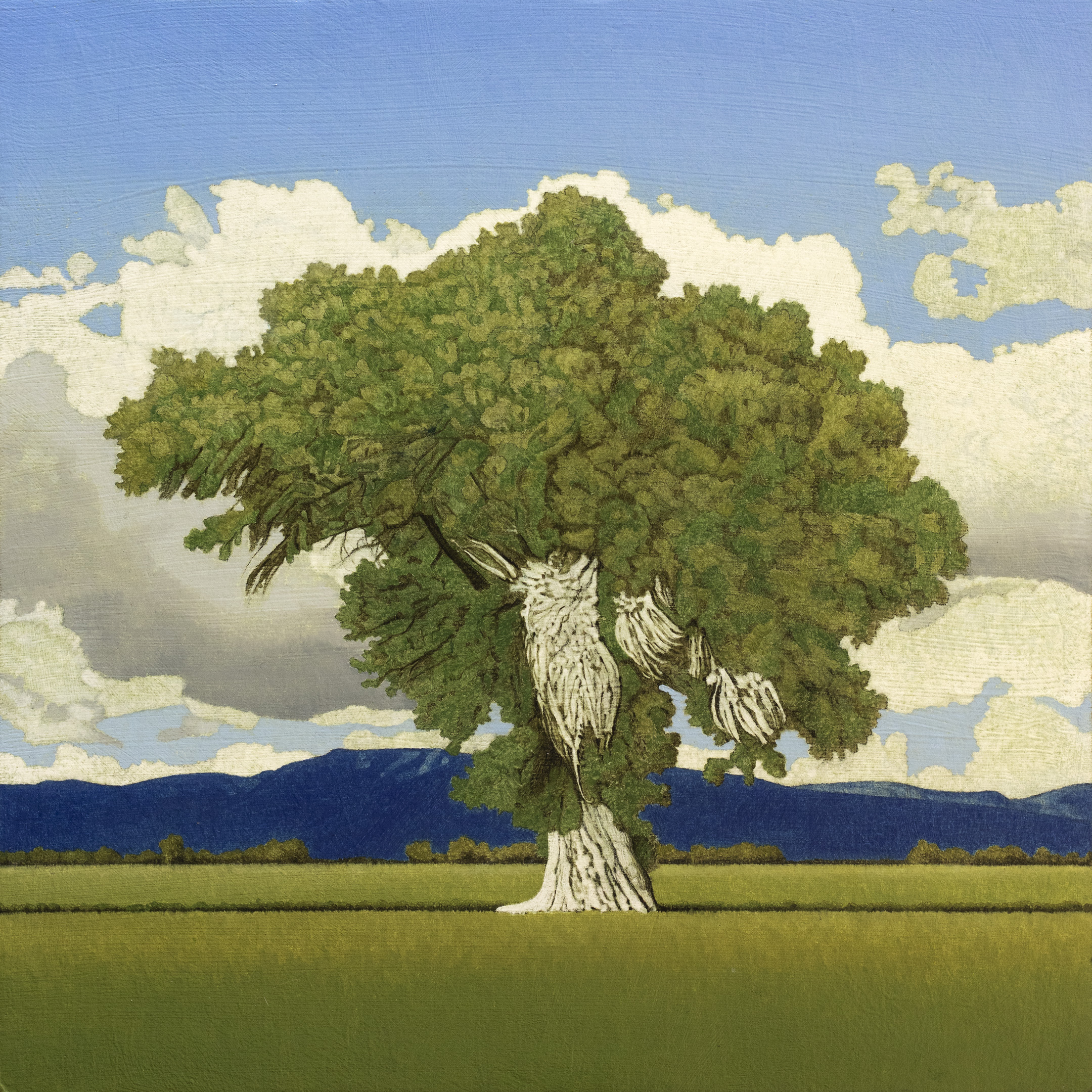 Clay Wagstaff - Cottonwood